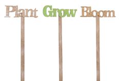 PICK BLOOM/GROW/PLANT 24"