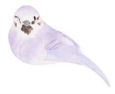 BIRD 4" PURPLE 12/PK