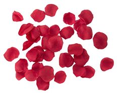 PETALS ROSE PONGEE RED