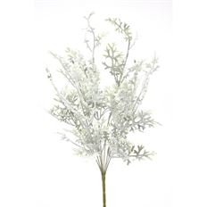 DUSTY MILLER BUSH X9 20" GRAY