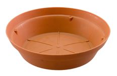 CLAY BEATER 10" TERRA PLASTIC