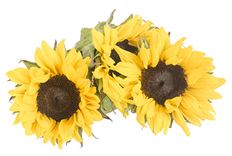 SUNFLOWER MARKET BUNCH