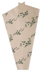 PAPER SLEEVE 6 IVY NAT 10PK #1