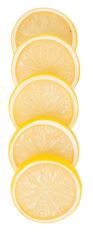 LEMON SLICES 2" 5/PKG YELLOW