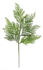 SPRAY CEDAR 19" LT GREEN 12/PK