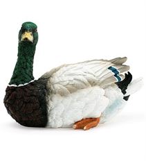 MALLARD DUCK 12"