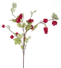 HOP CERISE BURGUNDY WILD SPRAY