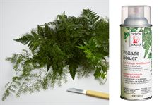 FOLIAGE SEALER CLEAR 11 OZ