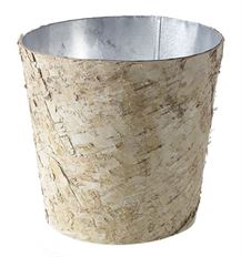 BIRCH POT W/ZINC 8.5"X8"