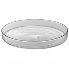 BASE 9.5X1" RENOIR CLR