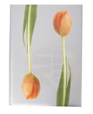 BOOK HOLLAND PARTY FLOWERS