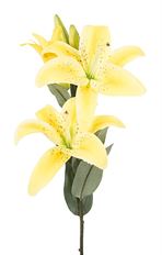 GARDEN LILY 32" YELLOW