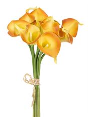 CALLA LILY BUNDLE MANGO X9